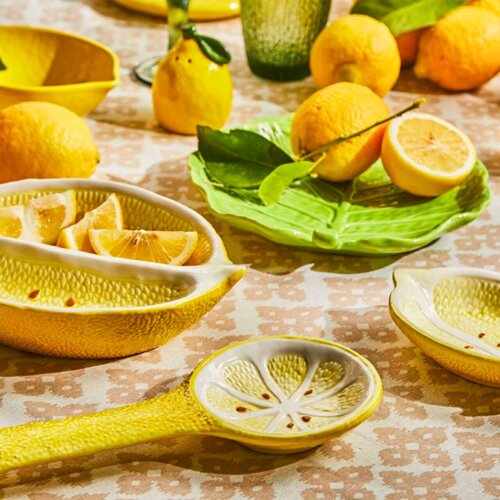 mbajtese luge lemon garden