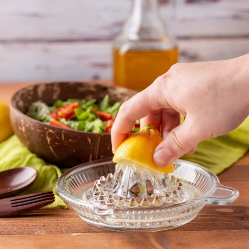 shtrydhese agrumesh leon