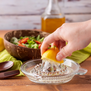 shtrydhese agrumesh leon