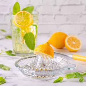 shtrydhese agrumesh leon