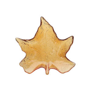 antipastiere galassia leaf 36 cm