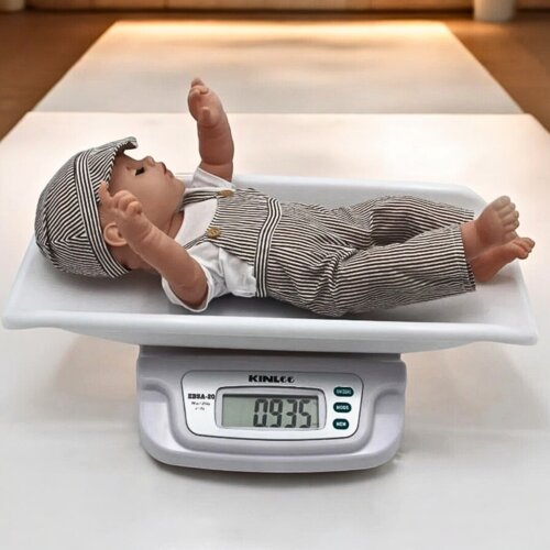 peshore bebesh elektronike 20 kg