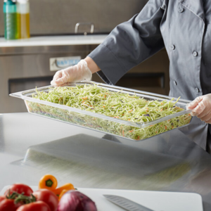 vaskete polycarb gastro 1/1 H65