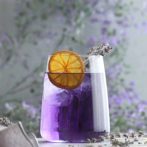 gote pa fron elixir 35 cl 6 cope