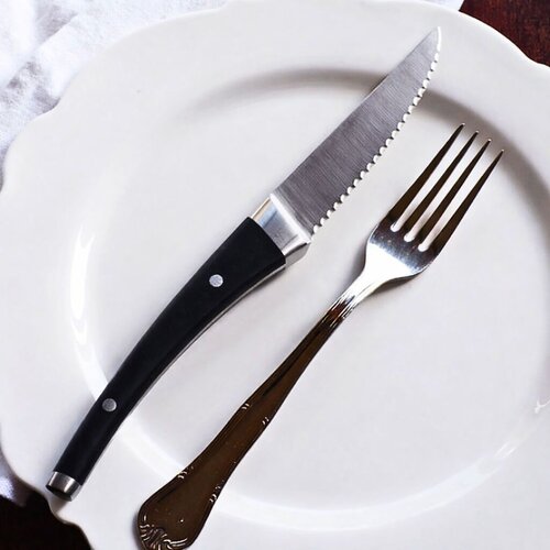 thike bifteku me dhembeza dolphin 25 cm