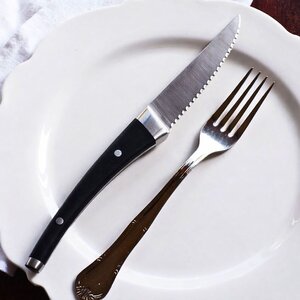 thike bifteku me dhembeza dolphin 25 cm