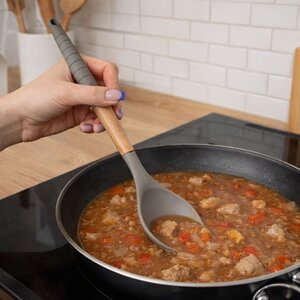 luge gatimi silikoni