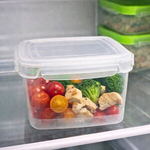 tas katror fresh lock clear 2,9 lt