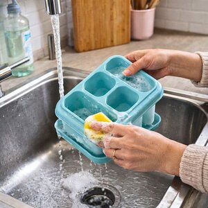 mbajtese lugesh dolphin scolaposate 18x16 cm