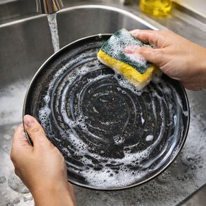 pjate dinner organica material 24 cm