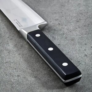 thike kuzhine chef gene 20 cm