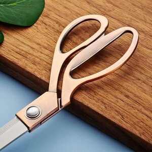 gershere kuzhine universale 23 cm